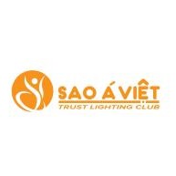 Công Ty Tnhh Thương Mại Quốc Tế Sao Việt